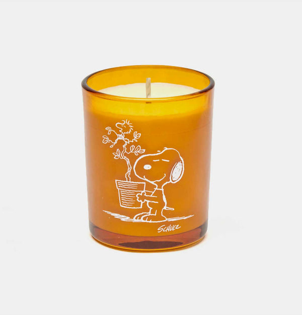 Peanuts Candle – Blooms