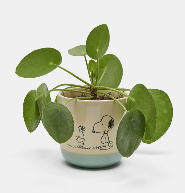 Peanuts Stoneware Planter – Love Is In Bloom