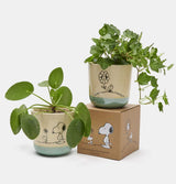 Peanuts Stoneware Planter – Love Is In Bloom